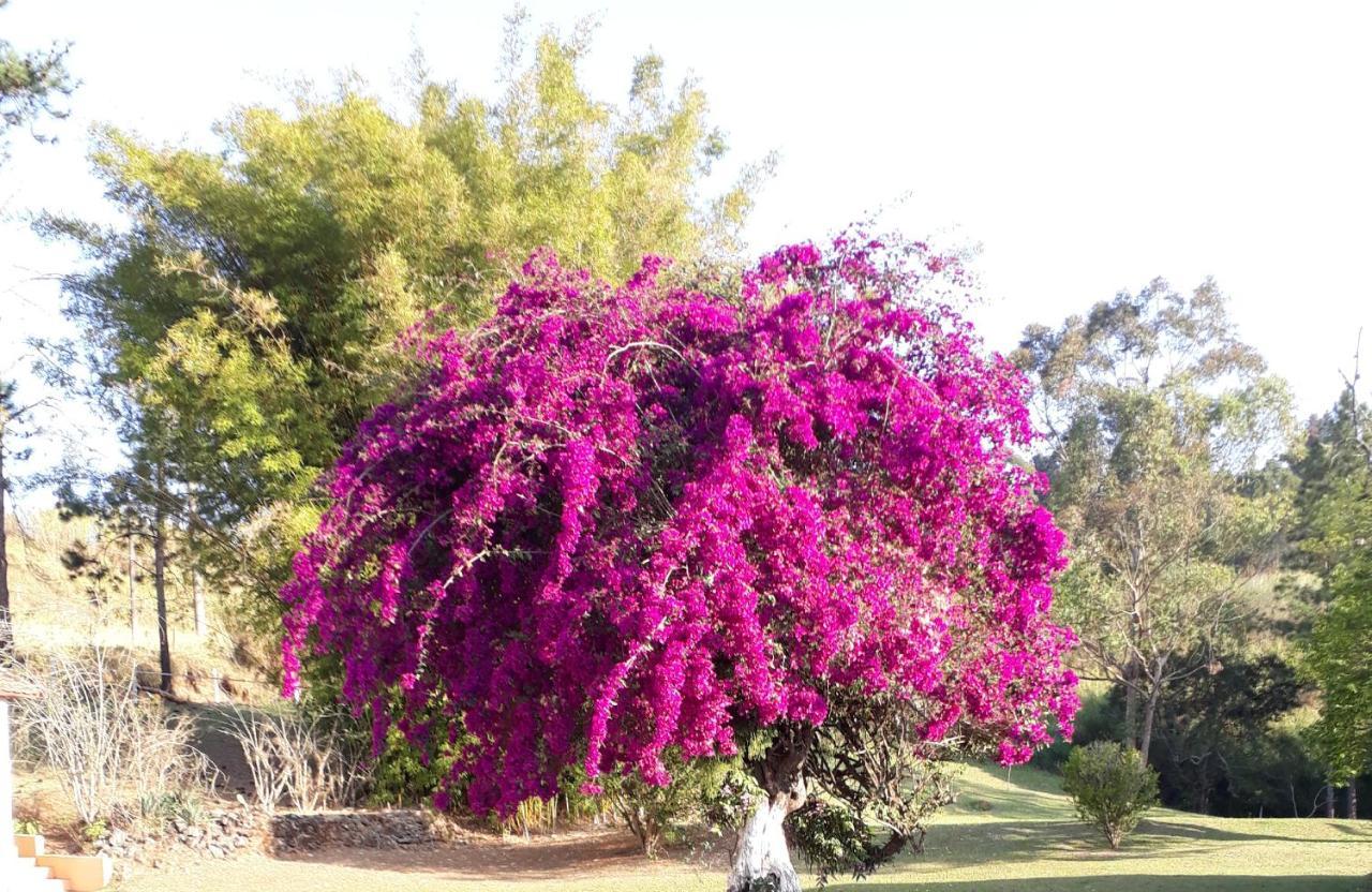 Recanto Das Borboletas São Roque 外观 照片