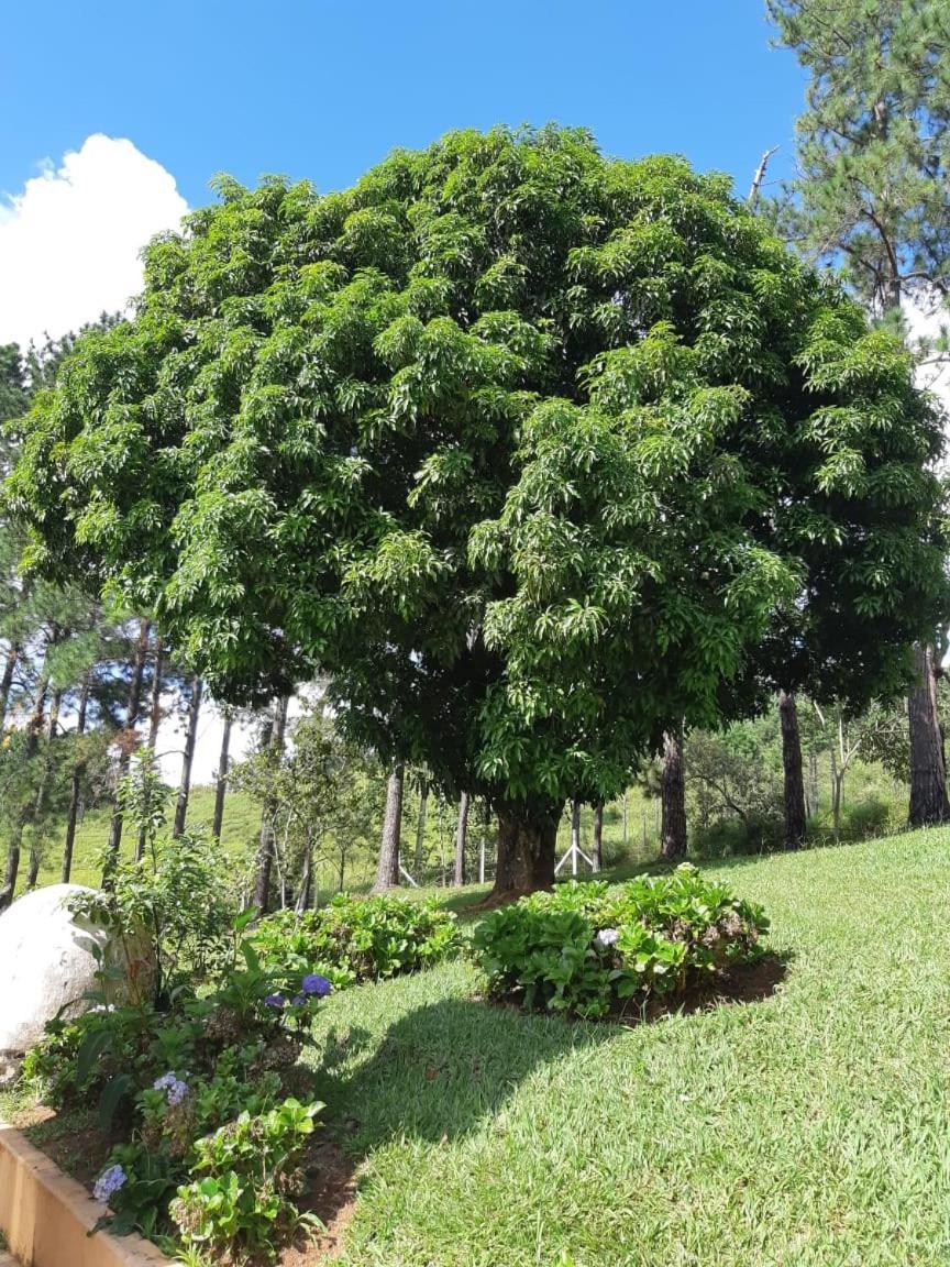 Recanto Das Borboletas São Roque 外观 照片